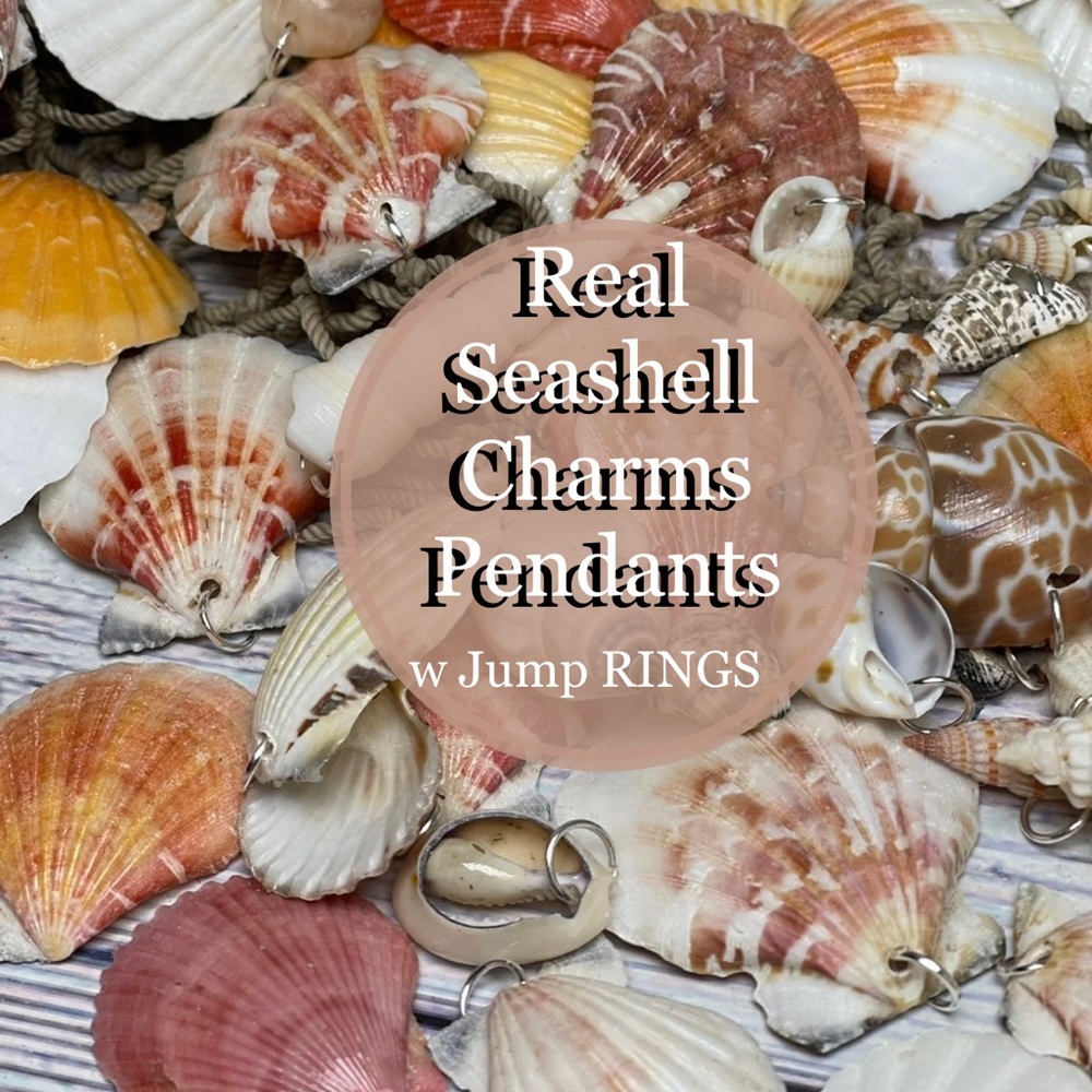 15 REAL SEASHELLS CHARMS PENDANTS w 15 JUMP RINGS FOR  CRAFTING & JEWELRY MAKING